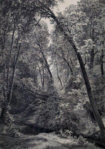 An Einem Bach — Ivan Ivanovich Shishkin