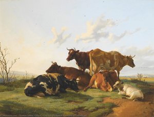 Cattle Grazing In Canterbury Meadows — Thomas Sidney Cooper