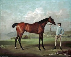 'molly Long Legs' With Her Jockey — George Stubbs