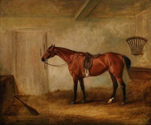 A Chestnut Racehorse Called 'undine' — John Ferneley, Snr
