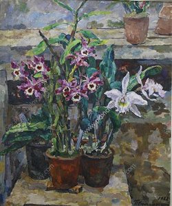 Natura Morta. Orchidee. — Pyotr Konchalovskij