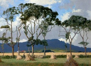 Harvest Fields, Sperrins — Norman Wilkinson
