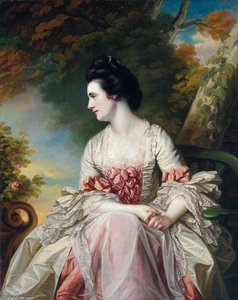 Portrait Of A Lady - — Francis Cotes