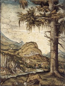 The Large Spruce