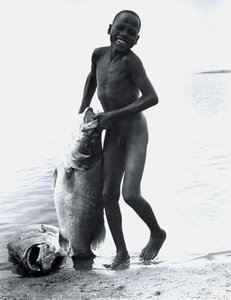 Ein El-molo-junge Mit Seinem Nilbarsch-fang — Mohamed Amin