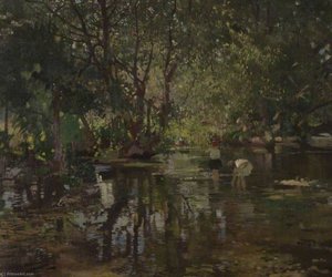 Shaded Water — Frederick Appleyard