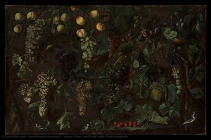 Grape Vines And Fruit, With Three Wagtails — Bartolomeo Cavarozzi