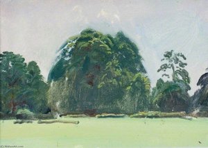 Un Paesaggio Con Alberi Accanto A Un Campo — Sir Alfred James Munnings