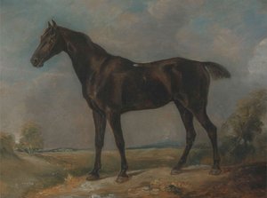 Golding Constable's Cavallo Nero In Salita — John Constable