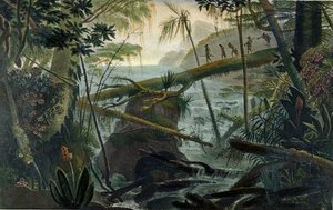 Indians Using A Fallen Tree-trunk To Cross — Jean-baptiste Debret