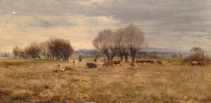 Cows Grazing In A Meadow — William E Harris