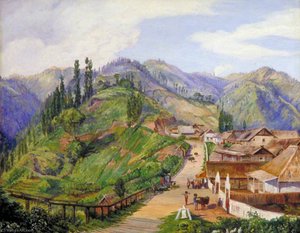 Wioska Tosari, Jawa, 6000 Stóp Nad Poziomem Morza — Marianne North