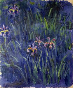 Kosatce — Claude Monet