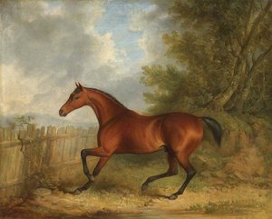 'selim', The Marquess Of Londonderry's Bay Hunter In A Landscape — James Barenger