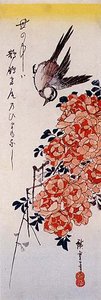 Rosa Y Zorzal Japonés — Ando Hiroshige