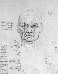 Studio Sulle Proporzioni Della Testa E Degli Occhi — Leonardo Da Vinci