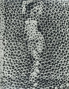 Reflections — Man Ray