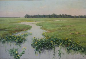 Kvety Rumunu — Józef Rapacki