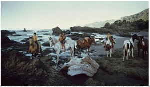 Maori | Stephen Brown, Bully Cooper, Christian Kerei,\nseldom Torrey & Daman Bellany | \ntaupo Village, North Island | New Zealand | 2011 — James Philip Nelson