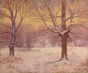 Winter Afternoon, Jordan Field — Theodore Clement Steele