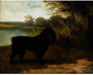 Un Bracco Nero — George Stubbs