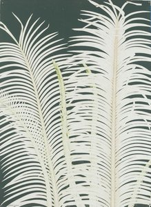 Cica — Luiz Zerbini