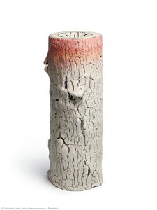 Barkskin — Irina Razumovskaya