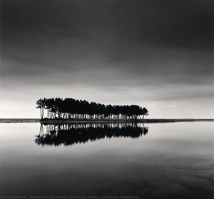 Gli Alberi Di Pino, Studio 1, Wolcheon, Gangwondo — Michael Kenna