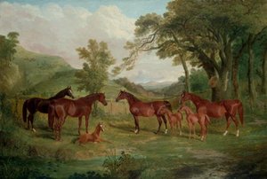 The Streatlam Stud, Mares And Foals — John Frederick Herring Senior