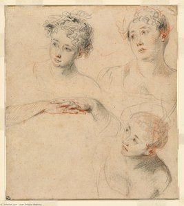 Drei Studien Eines Frauenkopfes Und Eine Studie Der Hände — Jean-antoine Watteau