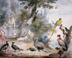 Birds At A Fountain Sun — Aert Schouman