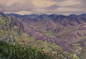 Do Templo Em Almorah, Kumaon, Índia — Marianne North