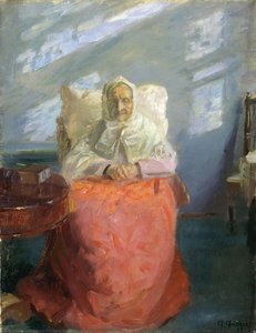 Mrs Ane Brøndum In The Blue Room — Anna Kirstine Ancher