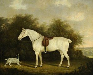 A Saddled Grey Hunter With A Spaniel In A Wooded Landscape — Clifton Tomson
