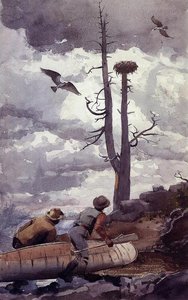 Merihaukka Pesä — Winslow Homer