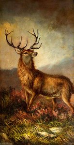 Stag — Alfred Worthington
