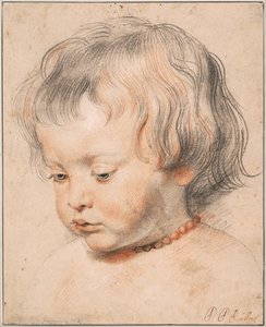 Untitled — Rubens