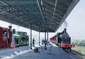 Downpatrick Loop Platform — Norman Whitla