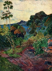 Martinique Landscape