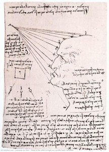 Studio Dell'effetto Della Luce Su Un Ritratto Di Profilo (facsimile) — Leonardo Da Vinci