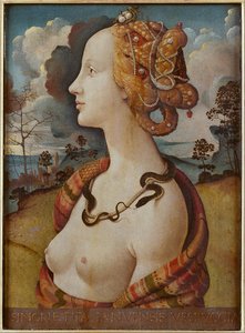 Ritratto Di Una Donna, Ritenuta Simonetta Vespucci — Piero Di Cosimo (piero Di Lorenzo)