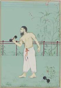Moderate Enlightenment — Imran Qureshi
