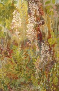 Asphodel — Christiana Jane Herringham