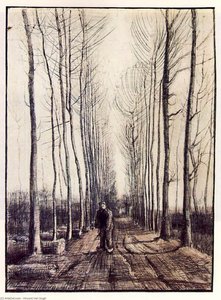 Păduri De Salcii — Vincent Willem Van Gogh