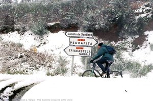 The Camino Covered With Snow — José J. Veiga
