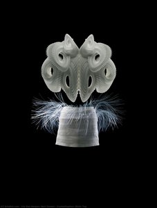 Crystallization, Skirt, Top — Iris Van Herpen, Neri Oxman