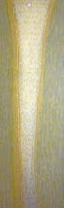 Bardo, Yellow — Antoni Malinowski