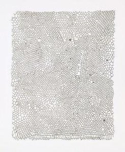 Untitled (nets) — Rachel Whiteread