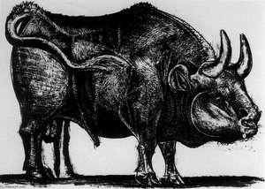El Toro — Pablo Picasso