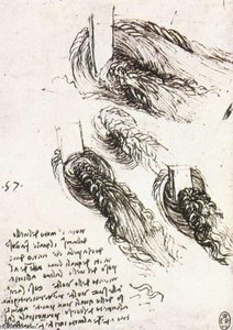Studio Di Acqua — Leonardo Da Vinci